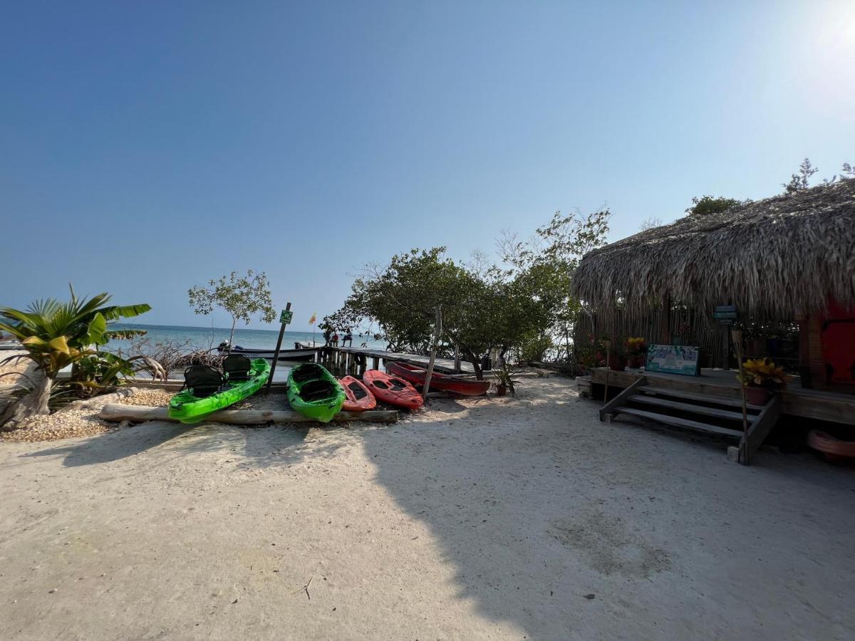 Santa Lova Eco-Hostel Isla Tintipan Tintipan Island 外观 照片