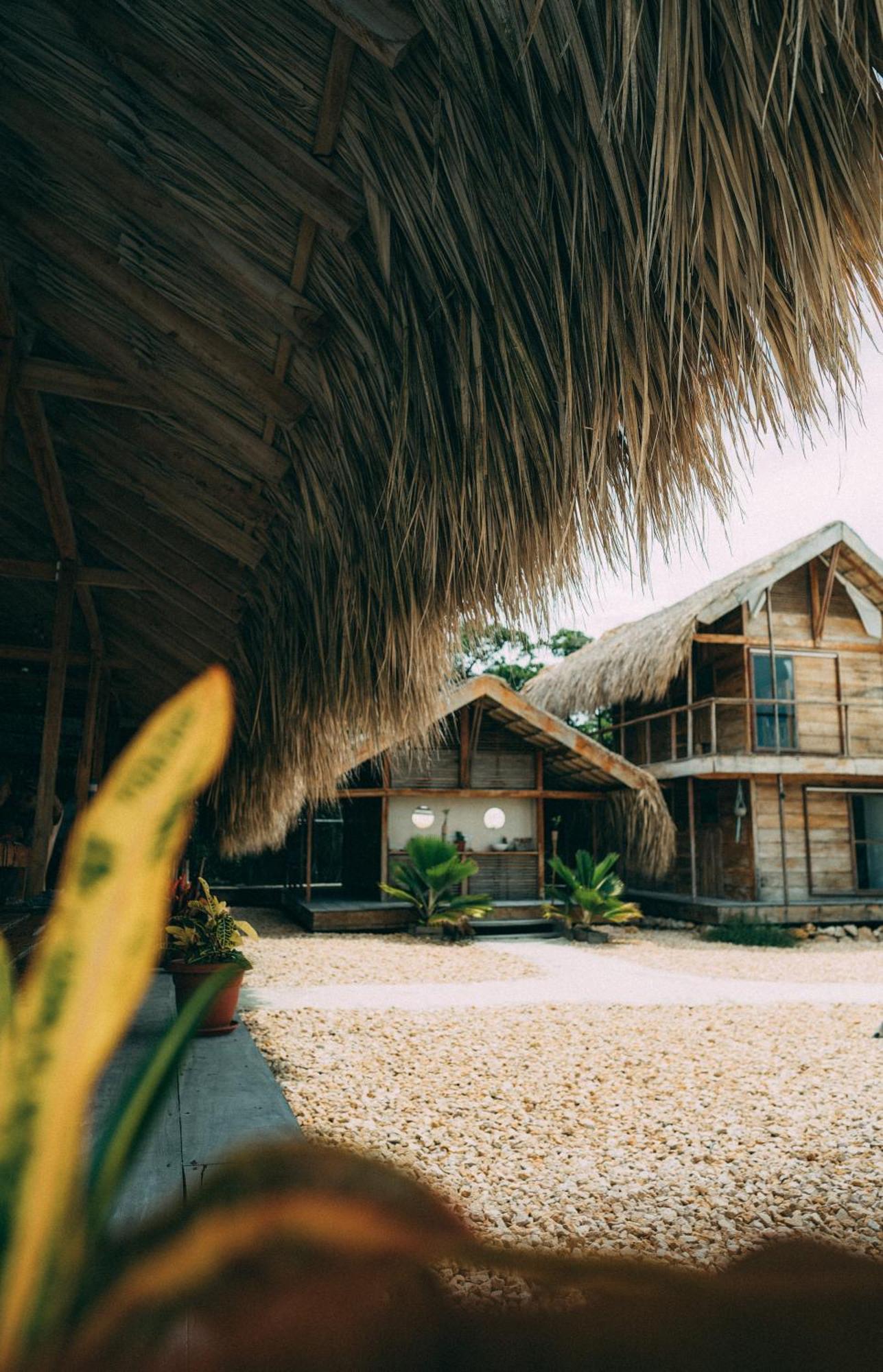 Santa Lova Eco-Hostel Isla Tintipan Tintipan Island 外观 照片