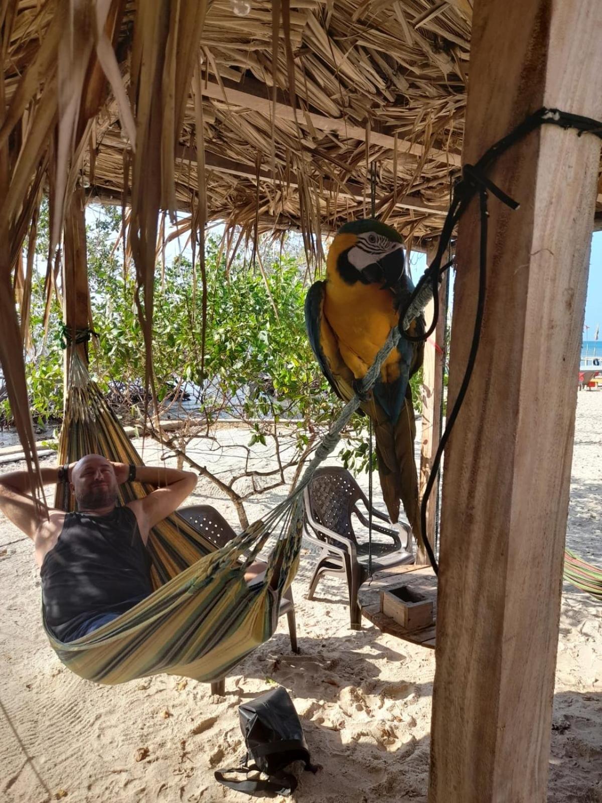 Santa Lova Eco-Hostel Isla Tintipan Tintipan Island 外观 照片
